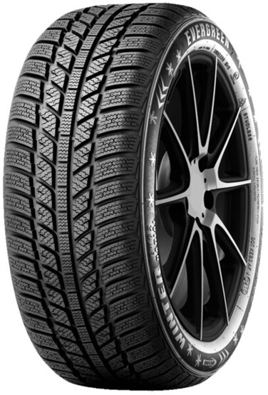 Шина Evergreen Ew62 205/65R15 94H