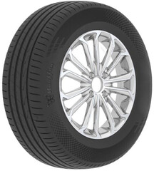 Шина Rauffan Avantar R7 315/35R21 111Y