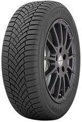 Шина Toyo Observe Ews1 225/45R17 94V