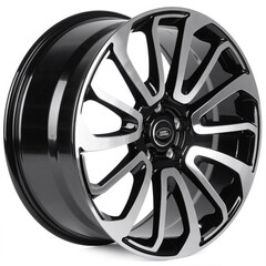 Fg085X-Cs428
